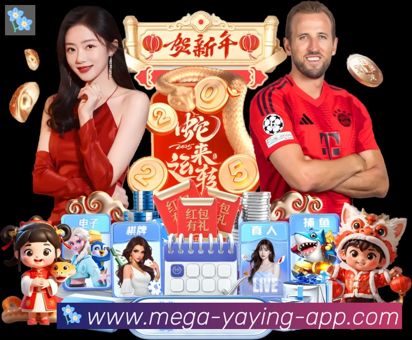 奖项4